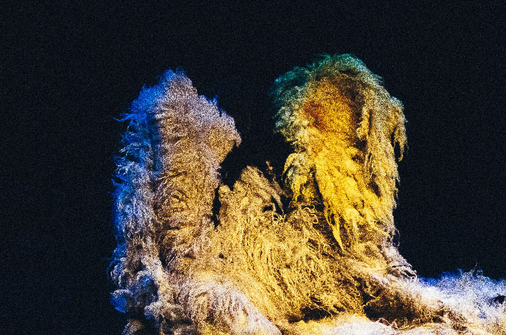 sébatien sidaner, Scènes Vosges, cie tempor Air