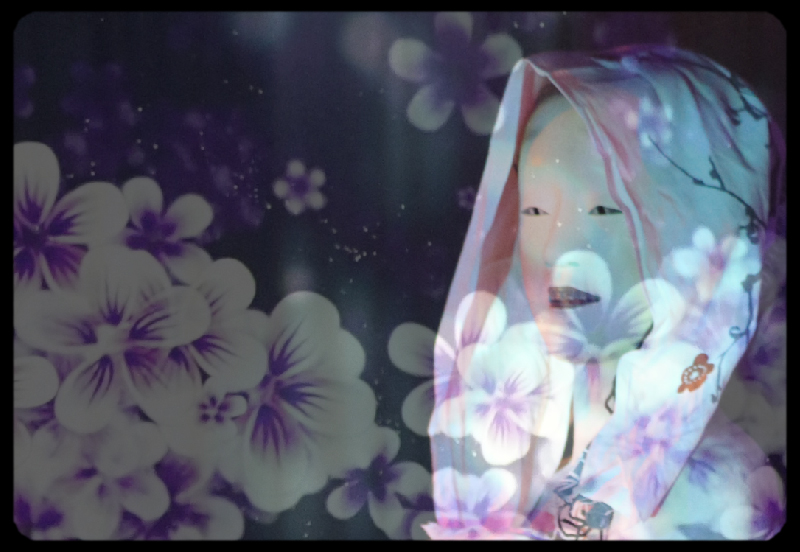 Memory of a Flower — création vidéo immersive et création lumière, arts numériques pour le théâtre international par Sébastien Sidaner et la Compagnie Wild The Donkey